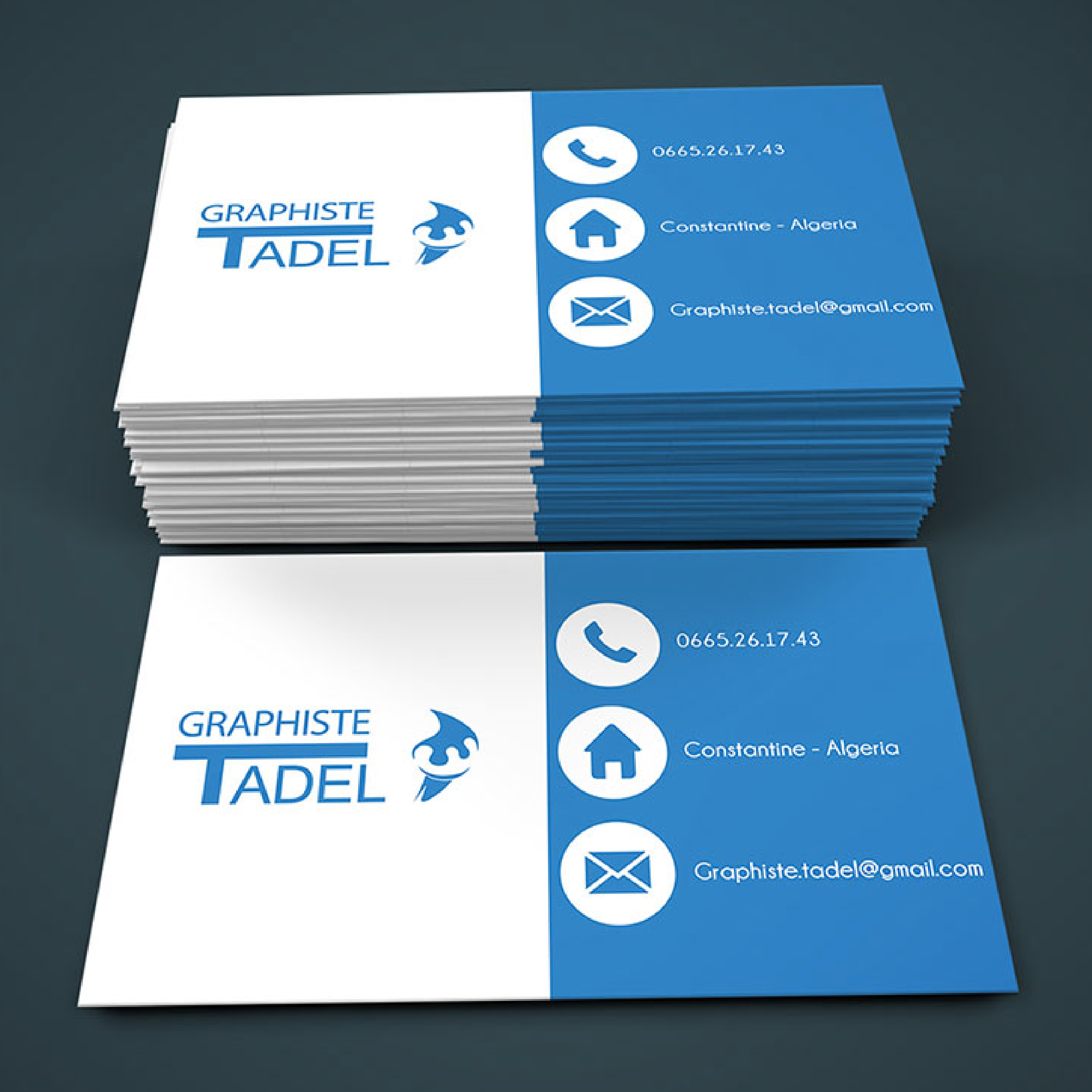 Design Project